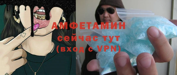 стаф Аркадак