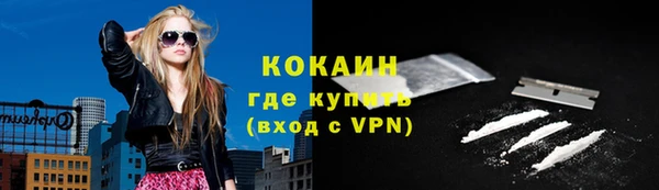 стаф Аркадак