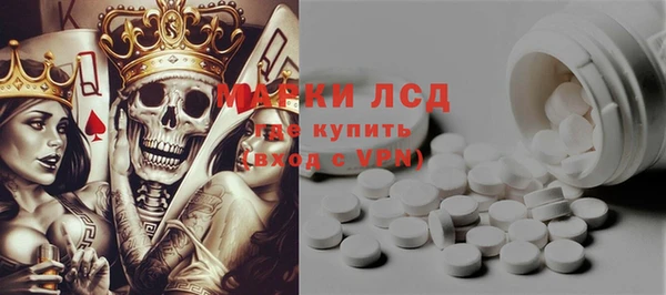 стаф Аркадак