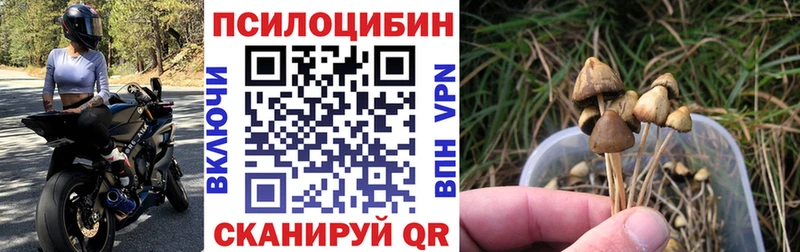Псилоцибиновые грибы MAGIC MUSHROOMS Белозерск