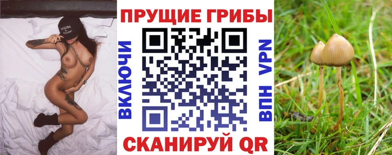 маркетплейс клад  Белозерск  Галлюциногенные грибы мухоморы 